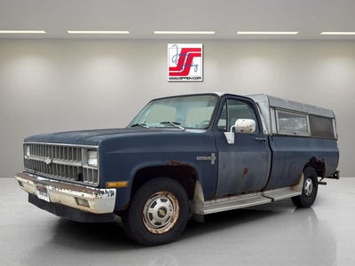 1981 Chevrolet Pickup Base