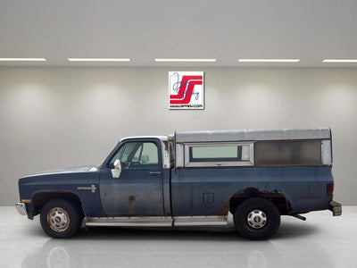 1981 Chevrolet Pickup Base