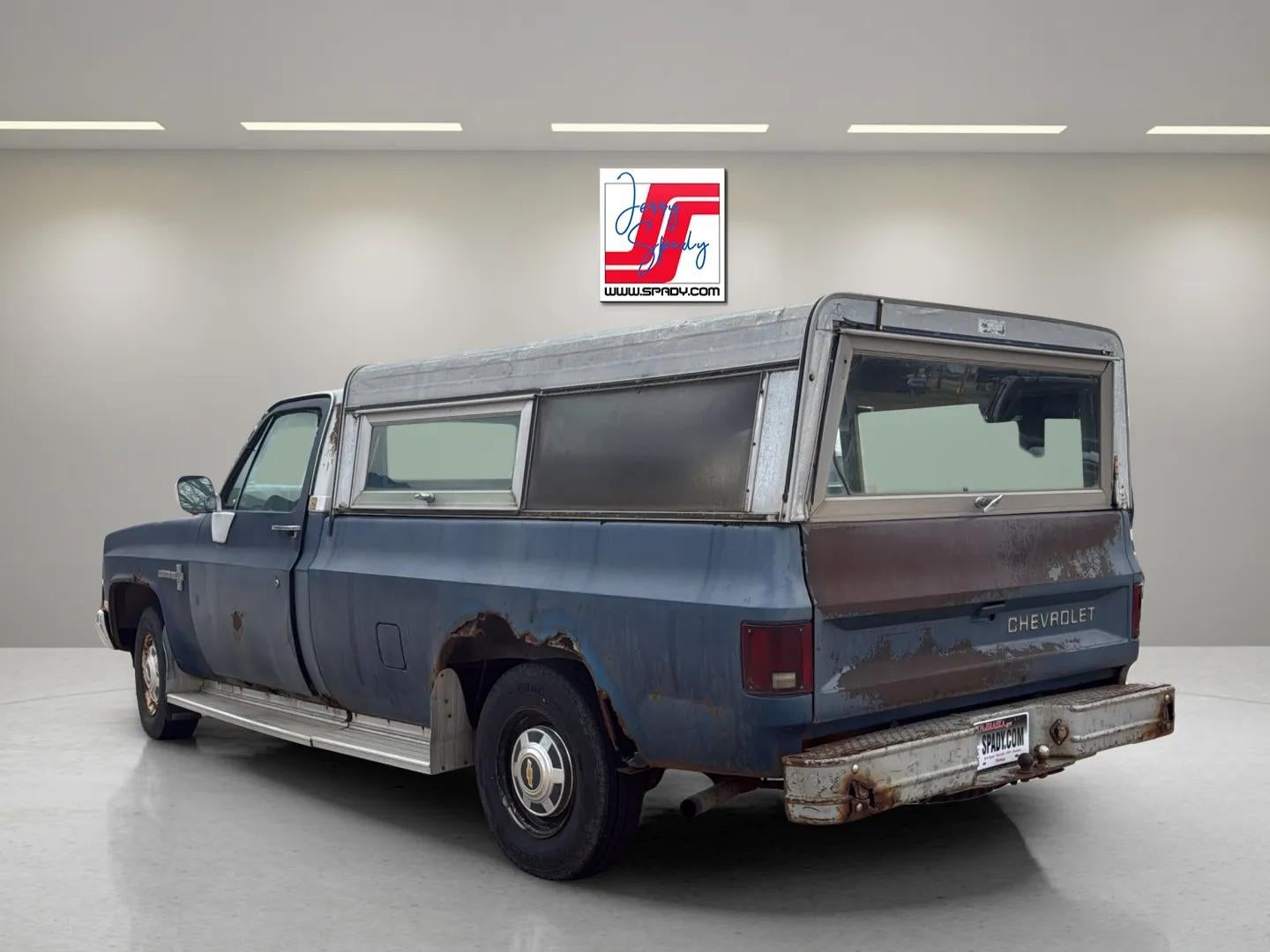 1981 Chevrolet Pickup Base