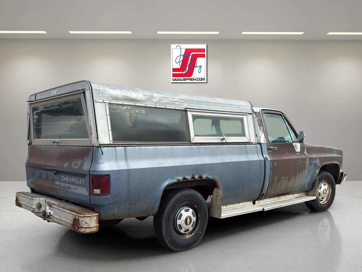 1981 Chevrolet Pickup Base