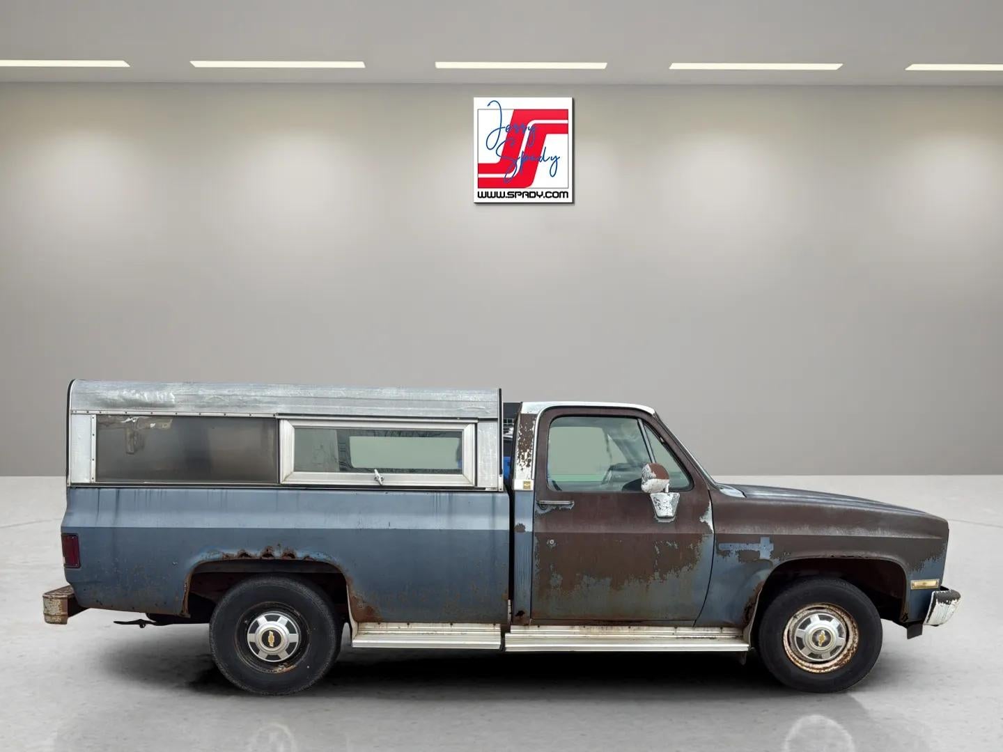 1981 Chevrolet Pickup Base