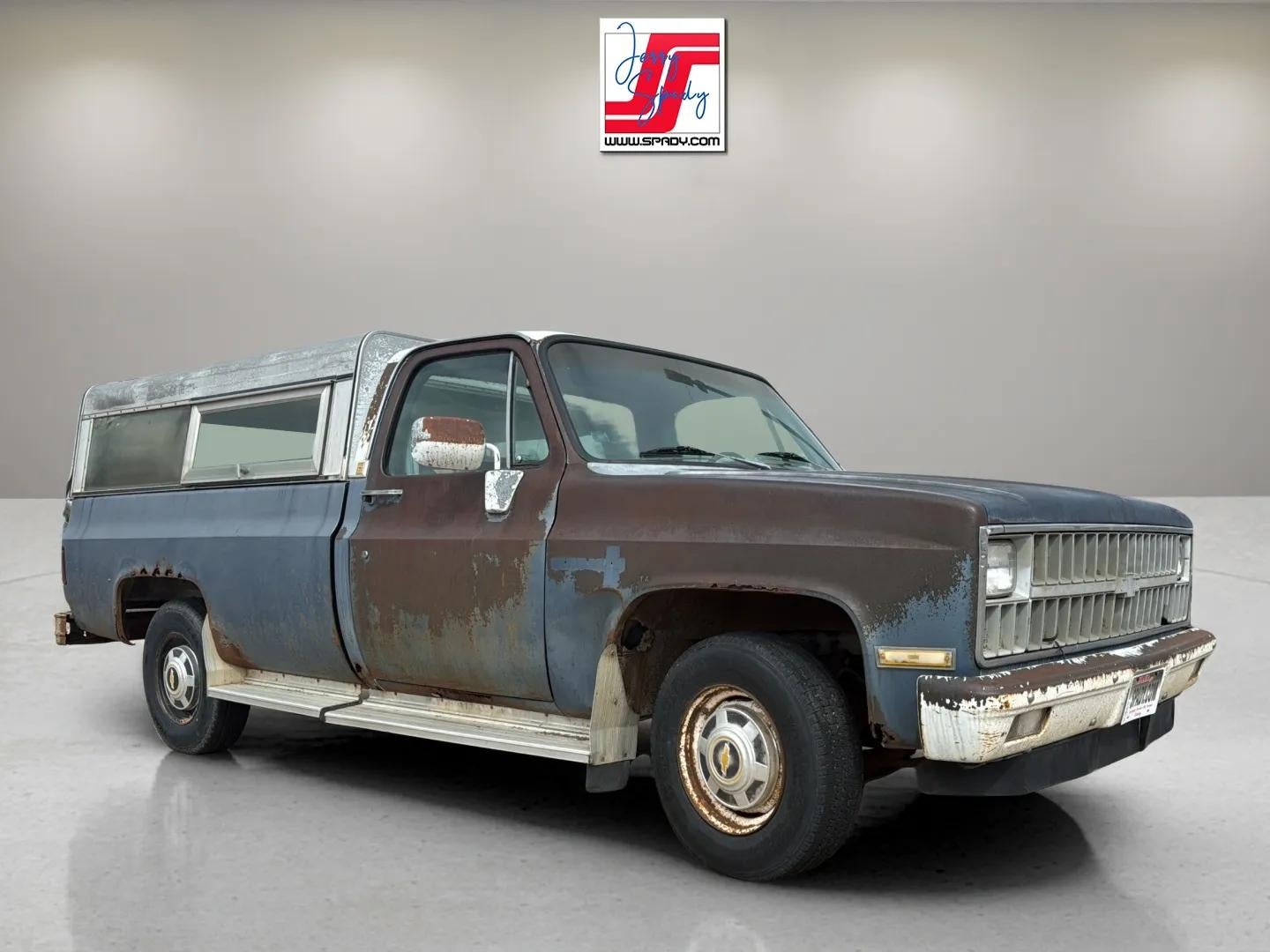 1981 Chevrolet Pickup Base