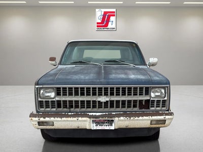1981 Chevrolet Pickup Base