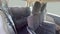 2016 Dodge Grand Caravan American Value Pkg